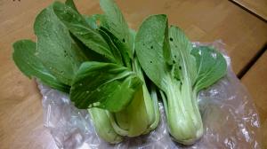 SATO-さんの野菜