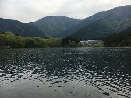 田貫湖＆天子ヶ岳