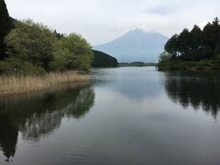 田貫湖＆富士山