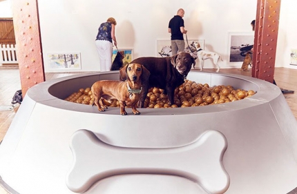 world-first-dog-art-exhibition-dominic-wilcox-london-3.jpg
