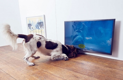 world-first-dog-art-exhibition-dominic-wilcox-london-7.jpg