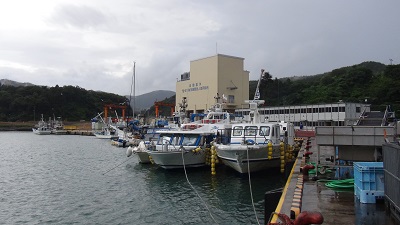 台風5号のため女川魚市場に全船避難