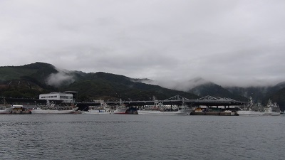 今日の女川漁港　さんまの水揚げ風景