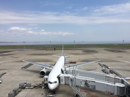 羽田空港 - 25