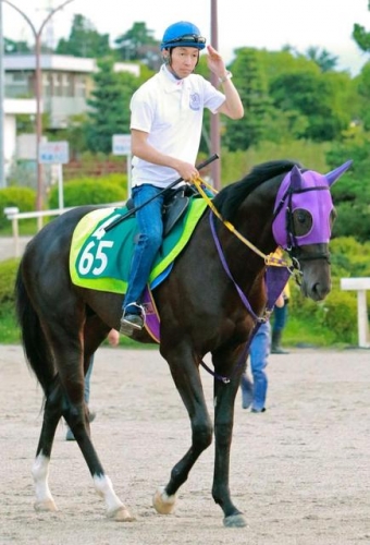 【競馬】サイレンススズカの再来2歳世代の最強馬！マイティドリームがついに7月17日中京5Rでデビュー！