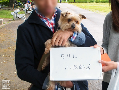 20160617_仙台の犬たち3