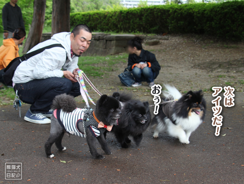 20160617_仙台の犬たち15