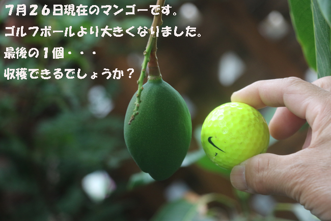 010-98765-975-12133456.jpg