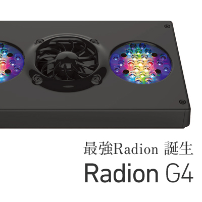 Radion_G4_1.jpg