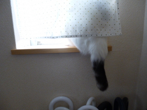 P1120530.jpg