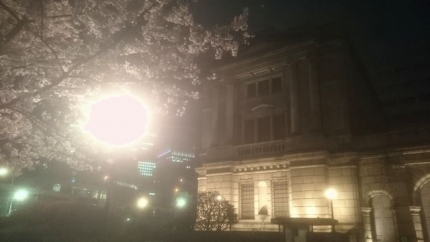 20160403-7-日本銀行夜桜.JPG