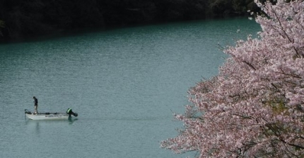 20160408-5-M三瀬谷プリプラ3もみじの里公園俯瞰桜ナメ.JPG