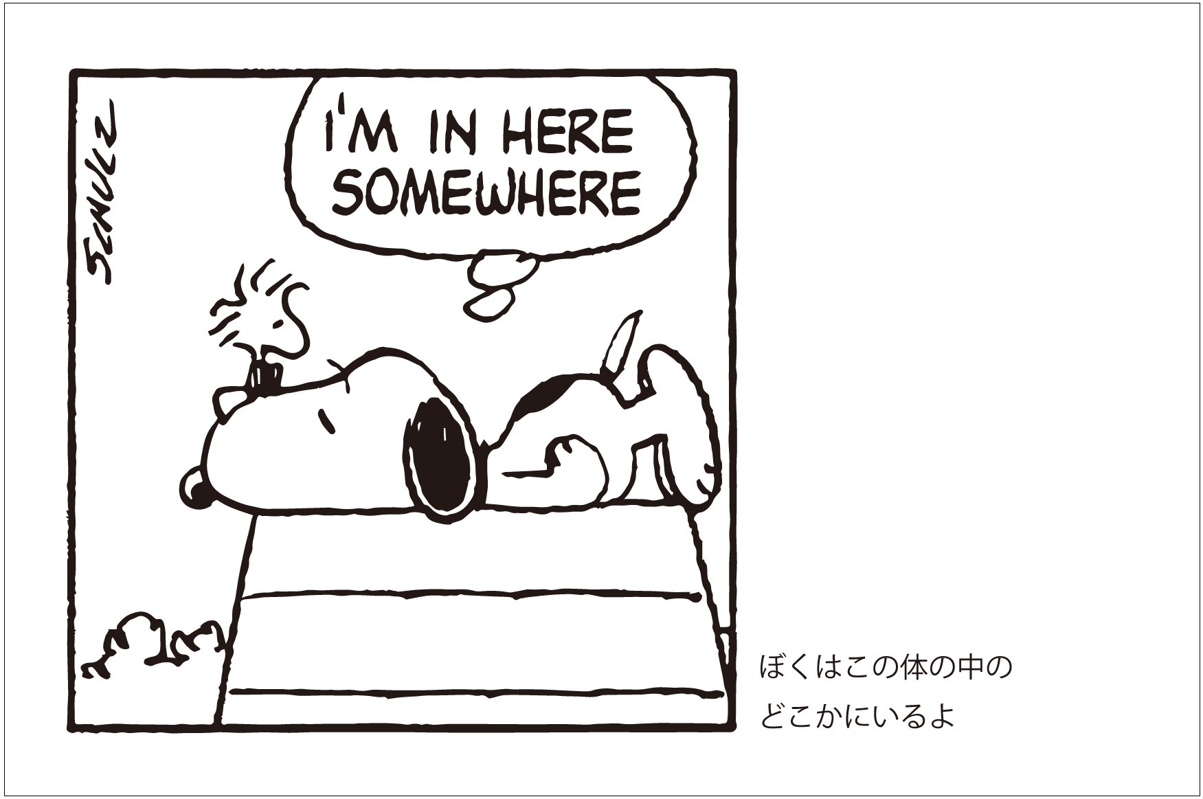 Snoopy In Seasons Quotes From Peanuts 学研ムック おまけカオスな日々