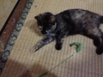 20160618150504.jpg
