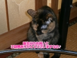 20160623192003.jpg