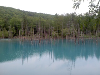青い池１