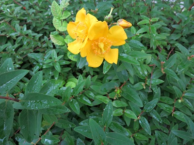 20160627-3.jpg