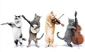 猫の音楽隊
