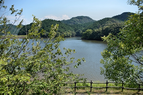 中山池自然公園