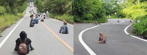猿同様の抗議活動＠沖縄